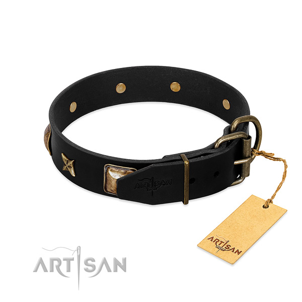 Reliable buckle on genuine leather collar for daily walking your canine