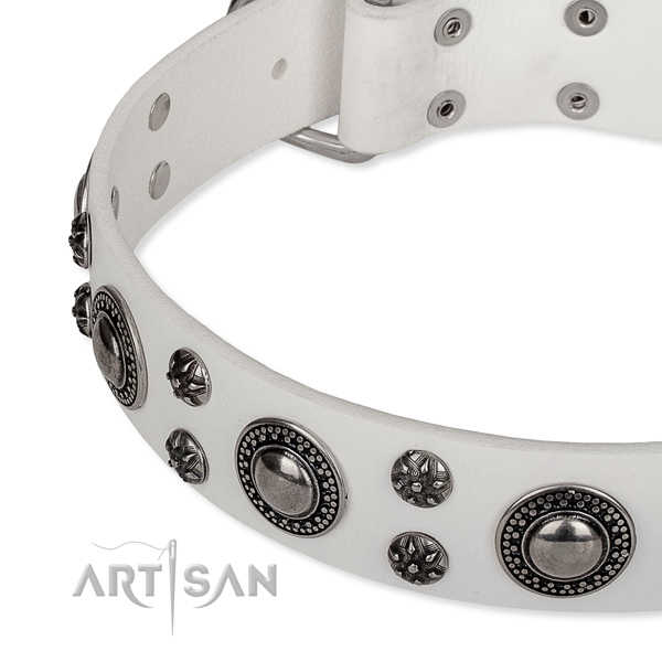 Comfortable wearing adorned dog collar of top quality full grain natural leather