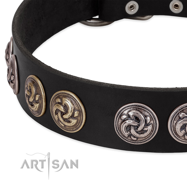 Unique leather collar for your four-legged friend walking in style