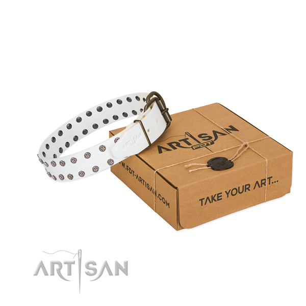 High quality full grain natural leather dog collar with decorations for your stylish dog