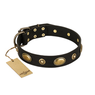 "Eye-Catcher" FDT Artisan Black Leather Amstaff Collar for Walking in Style