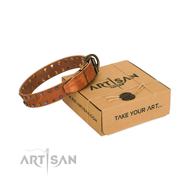Stylish walking high quality full grain natural leather dog collar with decorations