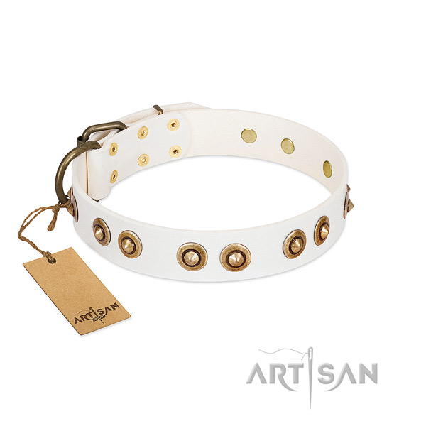 Significant leather collar for your dog
