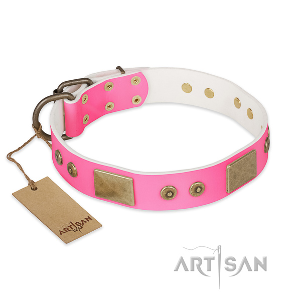 Easy wearing full grain leather dog collar for everyday walking your pet