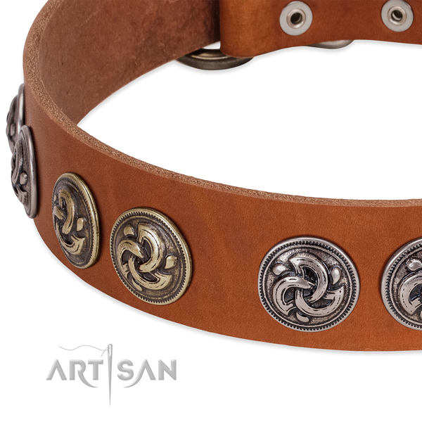 Fashionable full grain natural leather dog collar for daily walking