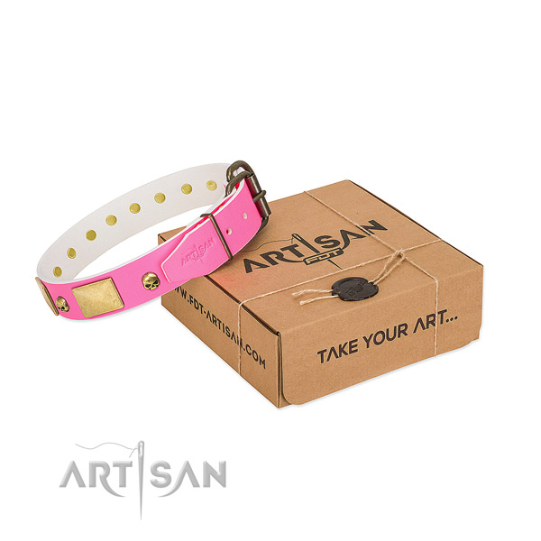 High quality leather collar with corrosion resistant embellishments for your canine