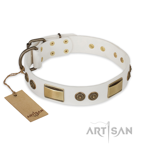 Exceptional full grain leather dog collar for everyday walking