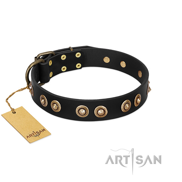 Corrosion proof buckle on full grain natural leather dog collar for your dog