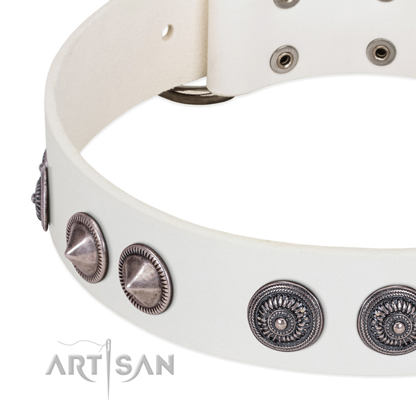 Unusual full grain genuine leather dog collar with durable traditional buckle