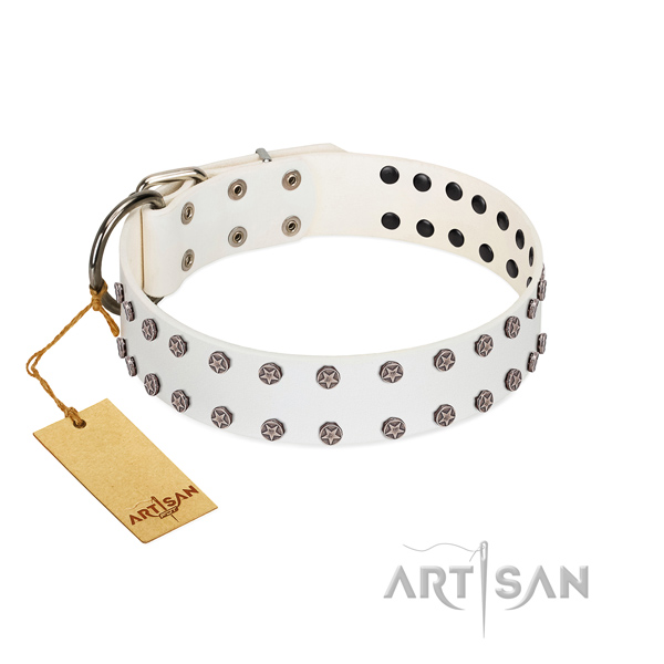 Perfect fit genuine leather dog collar