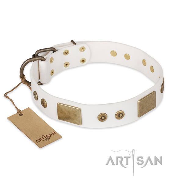 Easy to adjust genuine leather dog collar for stylish walking