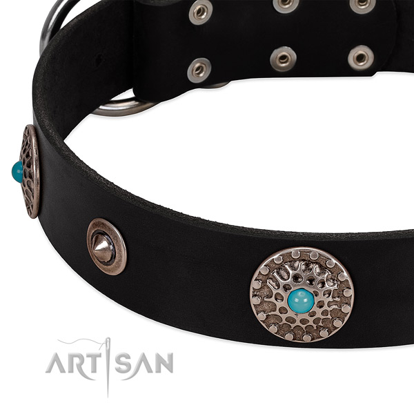 Convenient collar of full grain genuine leather for your attractive four-legged friend