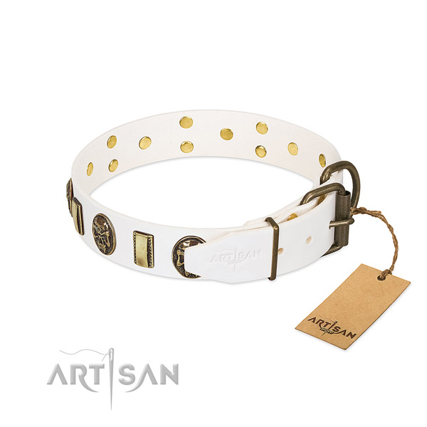 Reliable fittings on natural genuine leather collar for fancy walking your doggie