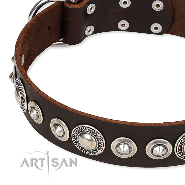 Stylish walking embellished dog collar of top notch full grain natural leather