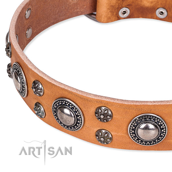 Stylish walking decorated dog collar of high quality full grain genuine leather