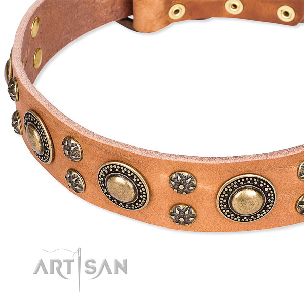 Basic training adorned dog collar of quality full grain leather