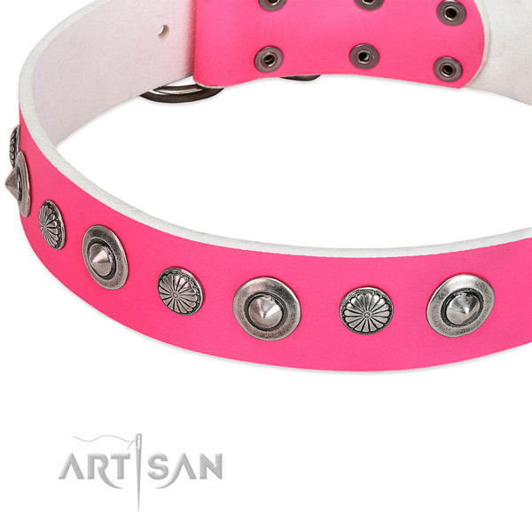 Natural leather collar with rust resistant fittings for your stylish doggie