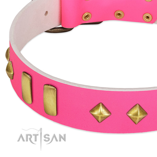 Leather dog collar with reliable D-ring for comfortable wearing