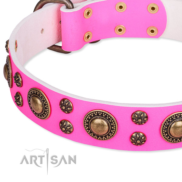 Stylish walking studded dog collar of quality full grain natural leather