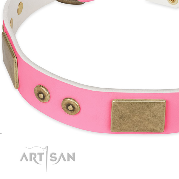 Full grain genuine leather dog collar with embellishments for walking