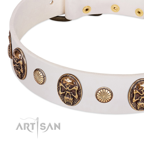 Strong studs on full grain leather dog collar for your four-legged friend
