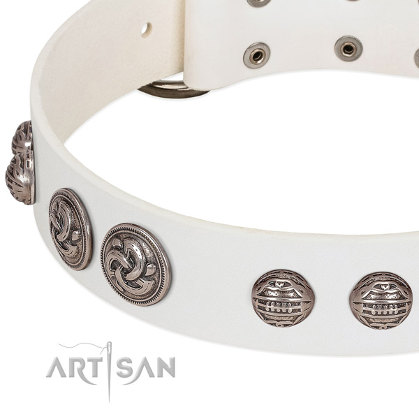 Rust-proof D-ring on full grain natural leather collar for daily walking your doggie