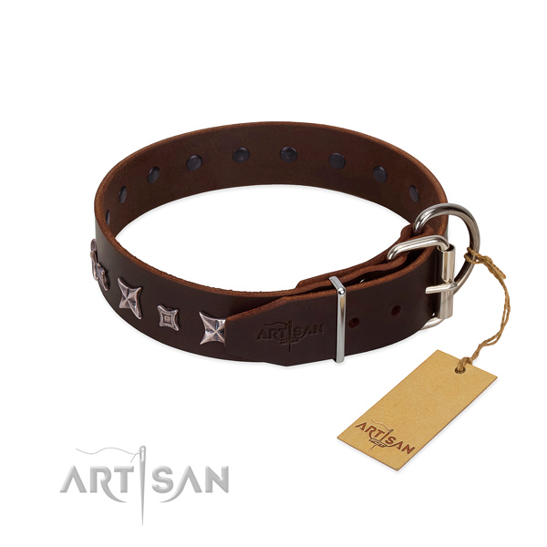 fancy dog collars