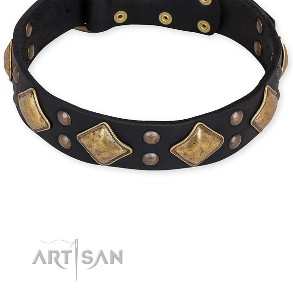 Full grain leather dog collar with exquisite reliable embellishments