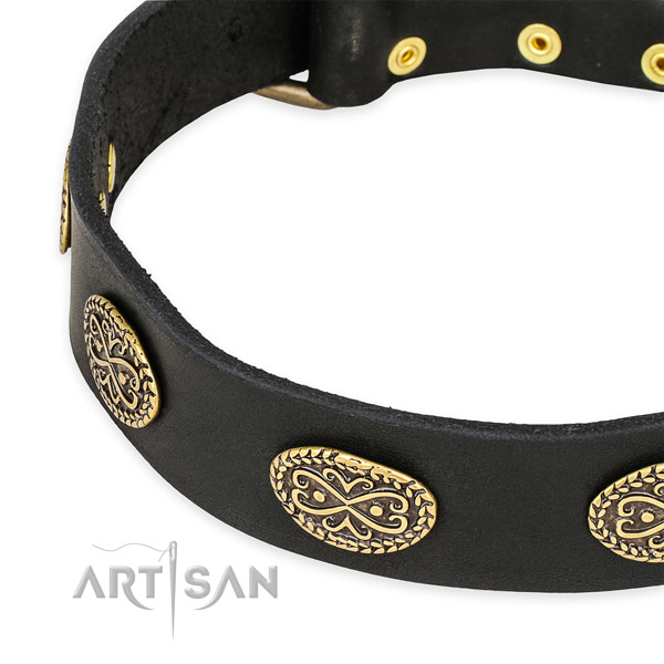 Remarkable leather collar for your handsome doggie