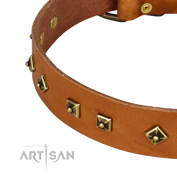 Easy wearing genuine leather collar for your lovely doggie