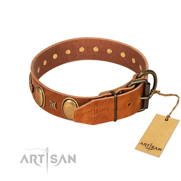 Corrosion proof decorations on everyday walking dog collar