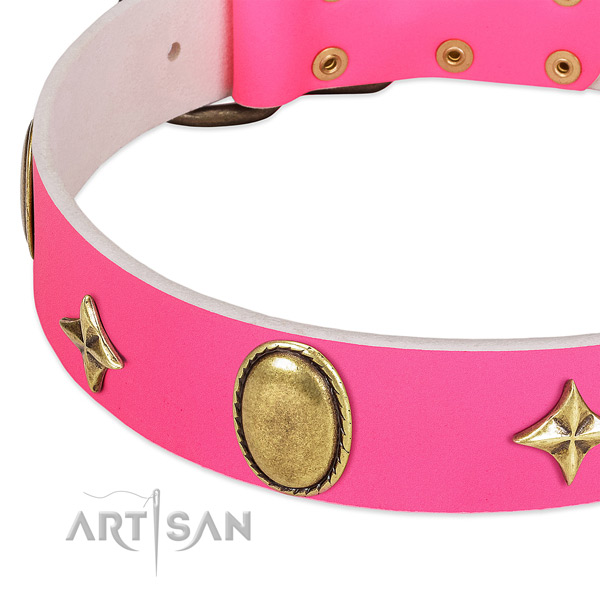 Best quality genuine leather collar with impressive embellishments for your dog