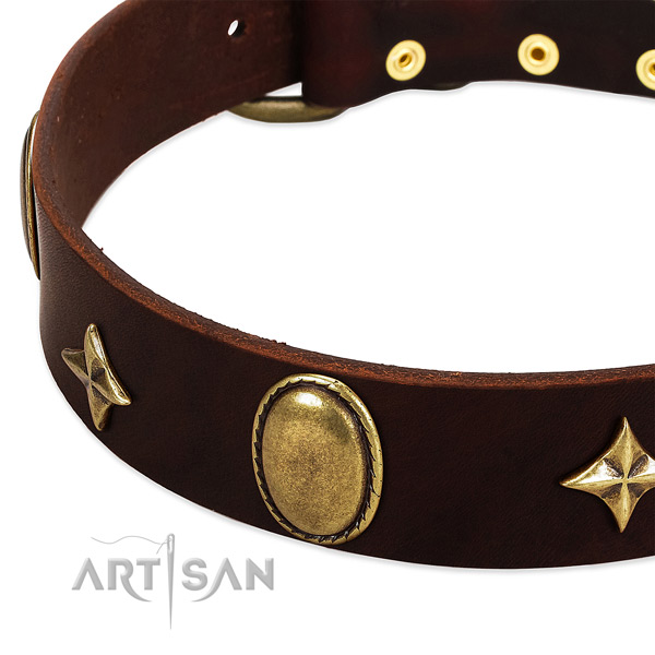 Soft full grain leather dog collar with corrosion resistant fittings