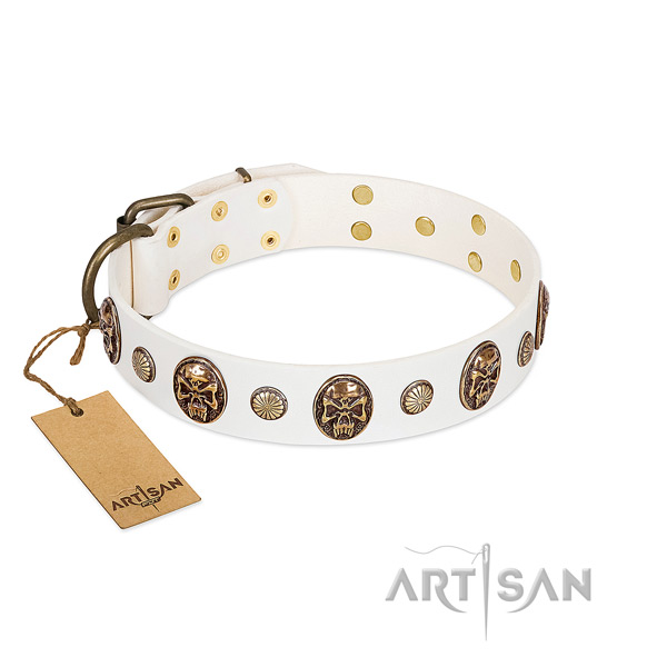 Awesome leather dog collar for easy wearing
