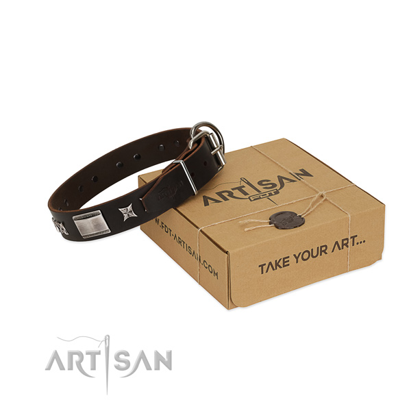 Incredible collar of leather for your beautiful doggie