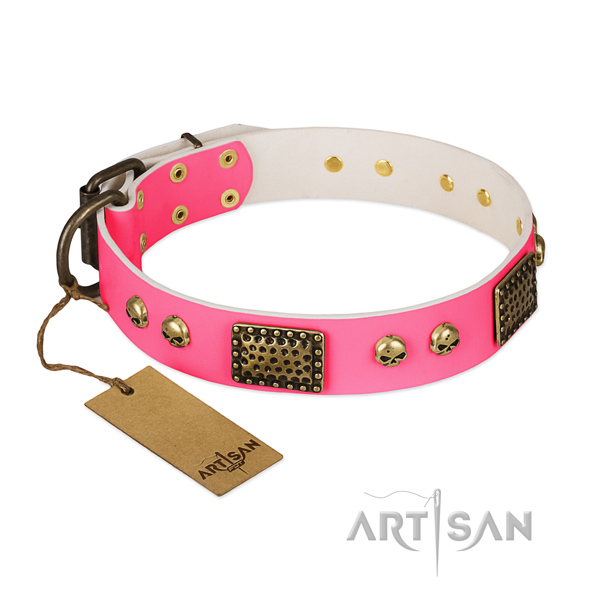 Easy adjustable natural leather dog collar for walking your dog
