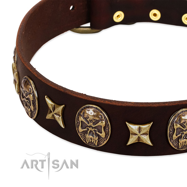 Durable hardware on leather dog collar for your four-legged friend
