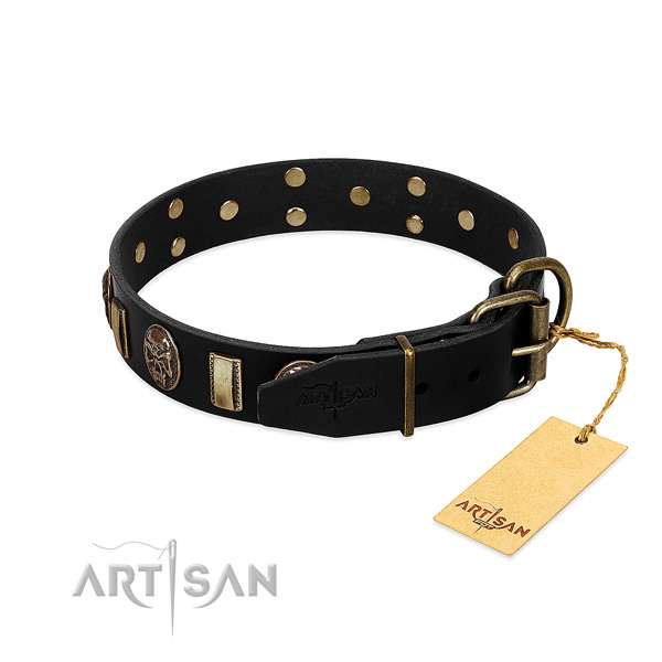 Full grain natural leather dog collar with corrosion proof hardware and adornments