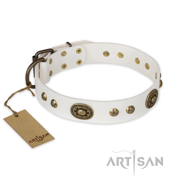 Awesome full grain leather dog collar for everyday use