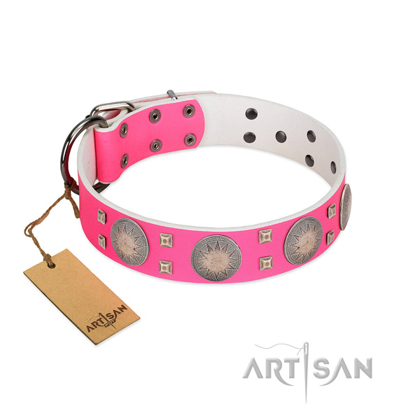Decorated genuine leather dog collar with corrosion proof buckle