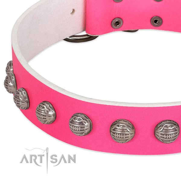 Daily walking full grain leather dog collar with awesome decorations