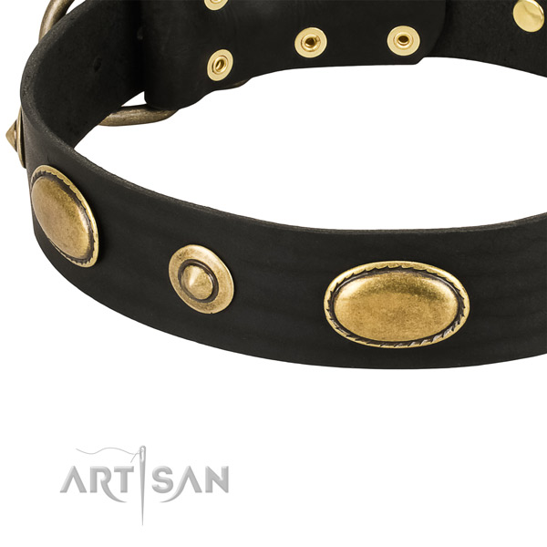 Rust-proof adornments on full grain natural leather dog collar for your dog