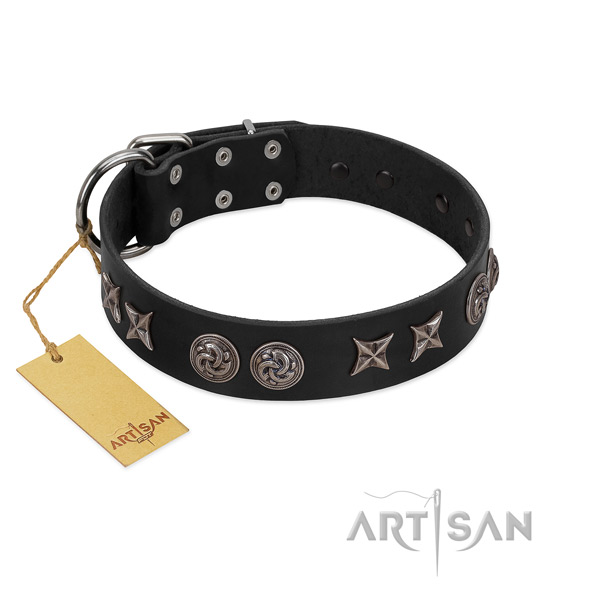 Fine quality genuine leather dog collar for everyday use