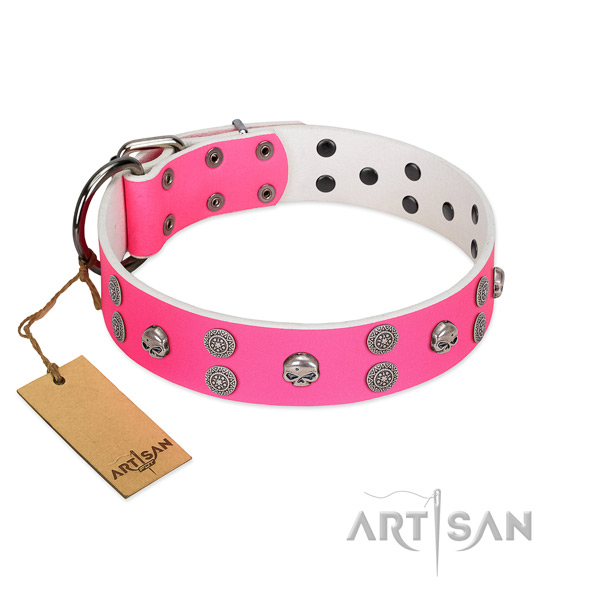 Handy use full grain natural leather dog collar with top notch embellishments