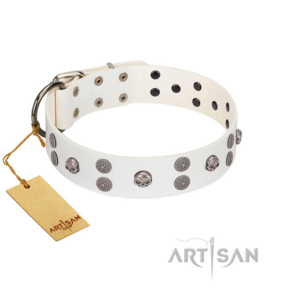 Stylish walking adorned genuine leather collar for your doggie