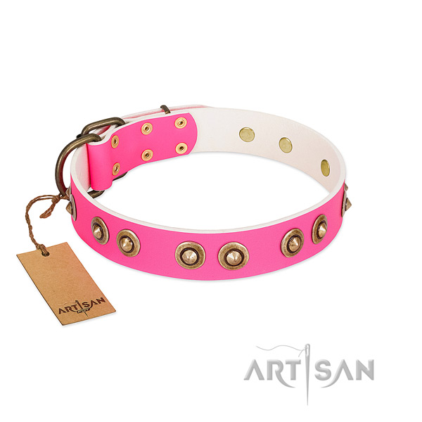 Adorned genuine leather dog collar for everyday walking