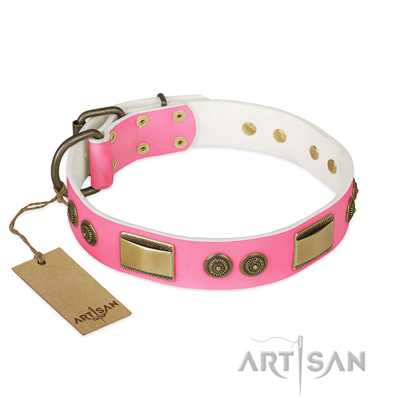 Awesome full grain genuine leather dog collar for stylish walking
