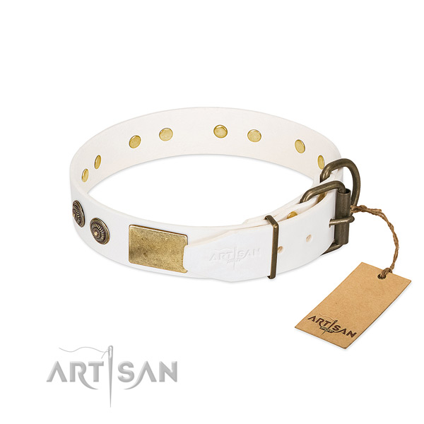 Rust resistant traditional buckle on genuine leather collar for basic training your four-legged friend