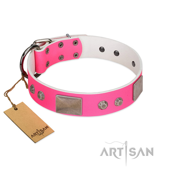 Corrosion proof hardware on genuine leather dog collar for daily walking