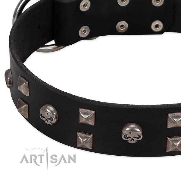 Durable genuine leather dog collar made for your canine